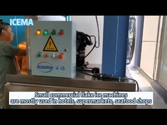 De commerciële Zoetwater van de de Machine Kleine Vlok van het Vlokijs van de het Ijsmaker Installatie van het de Vlokijs voor Hotelgebruik