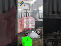 Hoogwaardige industriële pellet-ijsmachine in gebruikneming