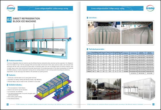 20 Ton Direct Cooling Ice Brick Making Machine Industrieel