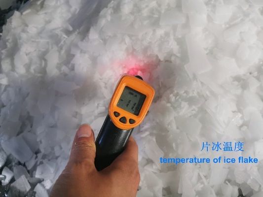 2T zoetwaterschilferijsmachine 380V/220V met ijsopslag