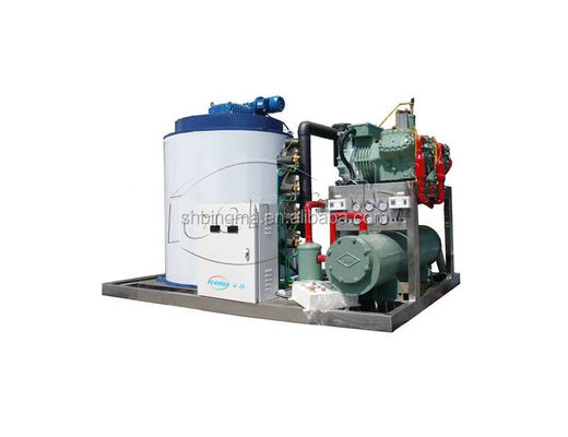 1 Ton Zoetwater Vlokijsmachine Commercieel 380V 220V
