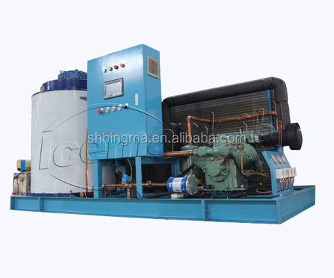 1 Ton Zoetwater Vlokijsmachine Commercieel 380V 220V