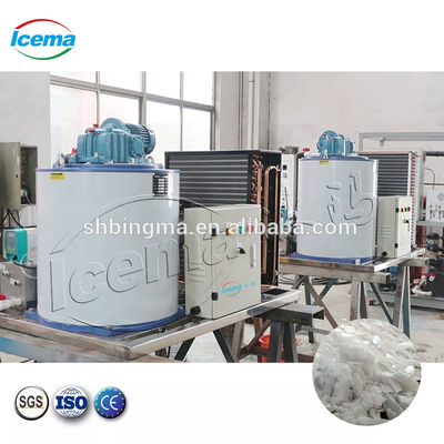 30 Ton Zoetwater Vlokijsmachine 220V Automatisch industrieel