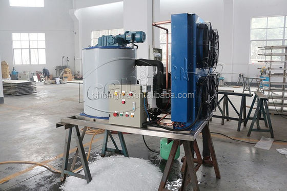 30 Ton Zoetwater Vlokijsmachine 220V Automatisch industrieel