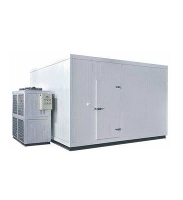 Fish Cold Room Freezer Room walk in chiller rooms