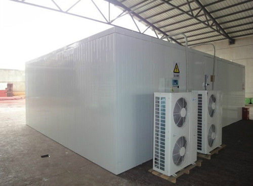 Fish Cold Room Freezer Room walk in chiller rooms