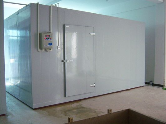 Fish Cold Room Freezer Room walk in chiller rooms