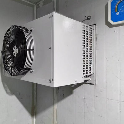 Industriële koelcelvriezer Verdampingscondensoreenheid
