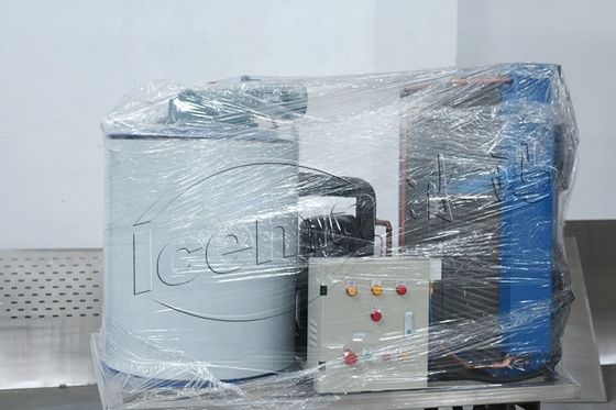 China 50 ton/dag in containers geplaatste sneeuwvlokken-ijsmachine voor koeling met fabrieksprijs