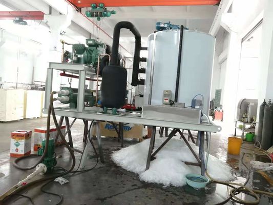 China 50 ton/dag in containers geplaatste sneeuwvlokken-ijsmachine voor koeling met fabrieksprijs