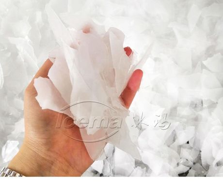China 50 ton/dag in containers geplaatste sneeuwvlokken-ijsmachine voor koeling met fabrieksprijs