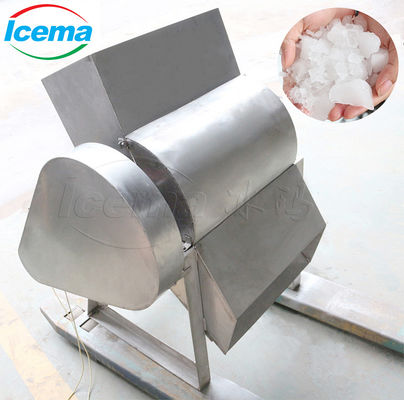 9T/h capaciteit Draagbare roestvrij staal ICEMA mini-ijsmachine voor vers bewaren