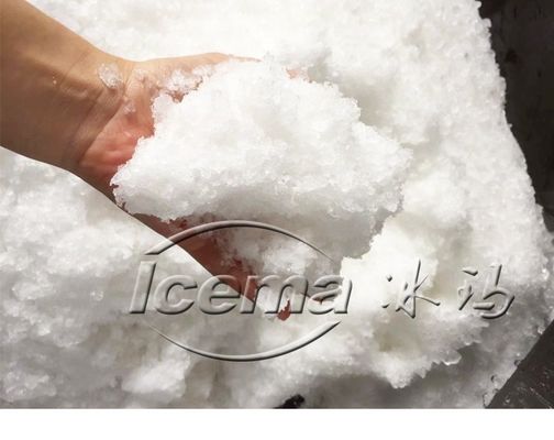 9T/h capaciteit Draagbare roestvrij staal ICEMA mini-ijsmachine voor vers bewaren
