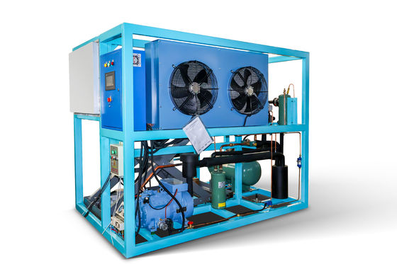 1 ton industriële ijsmachine met directe koeling en andere ijsopslagcapaciteit