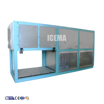 ICEMA Automatic 2T Ice Block Machine Maker voor de industrie Andere capaciteit voor het opslaan van ijs